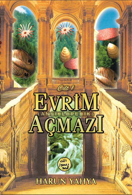 Evrim Açmazı - 1
